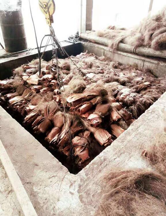 ɽ����Ҭ����ʲô����