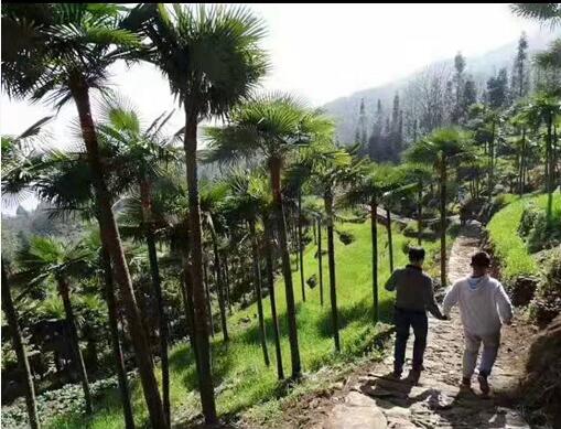 ɽ�ص���Ҫ��ֵ