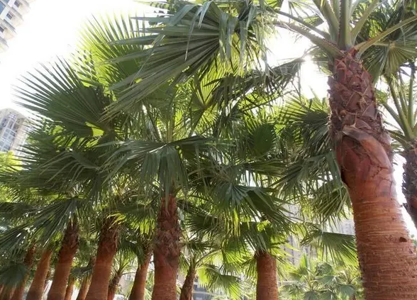 ɽ�ص���̬����